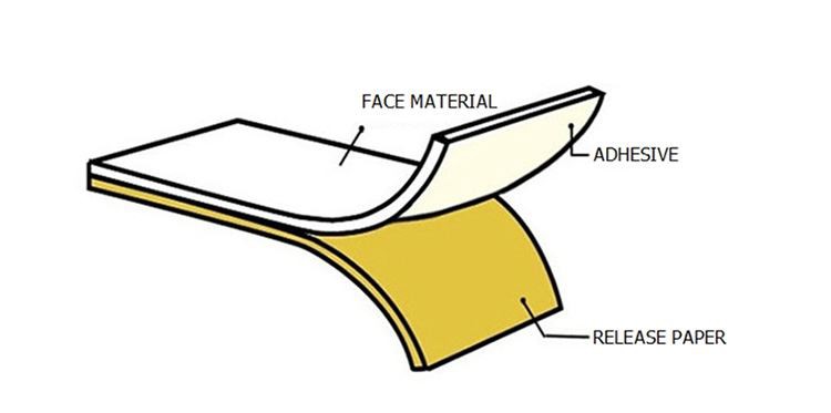 20210521202911fbd13dbcc0de401bbad70d4439361d30